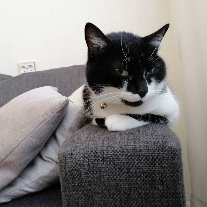 6af5915c 9df7 4ea2 9a6a 6b684008c4e0 1585889479037