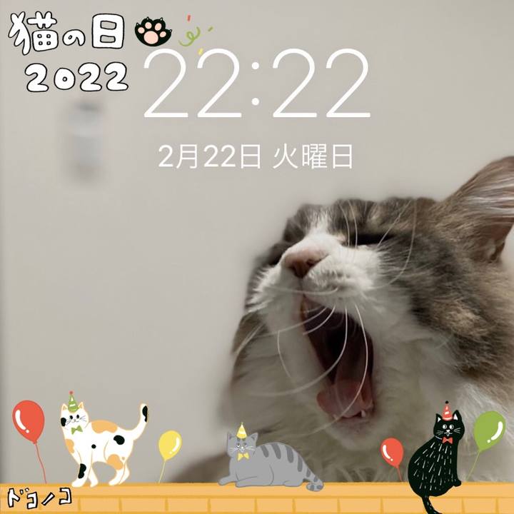 6af59360 9c19 4db4 9b7b bfc2fb3b16d0 1645536272391