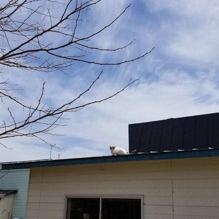 6af5b2ac 864e 47fd bc49 c765aa54f946 1620538083496