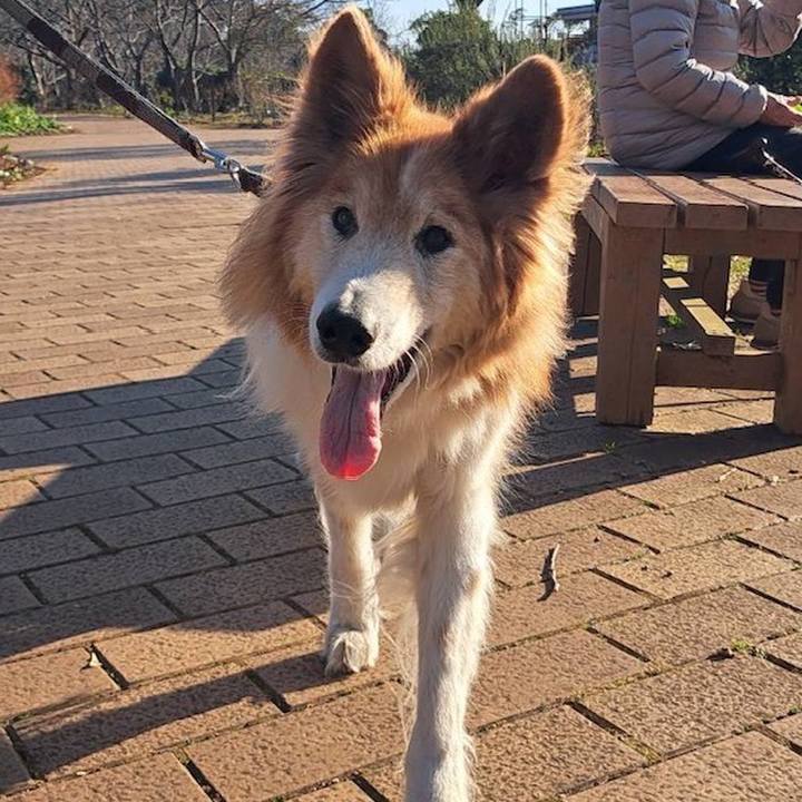 6af5e24e 19eb 44f4 bfcb 641a9f5ab248 1673618713444