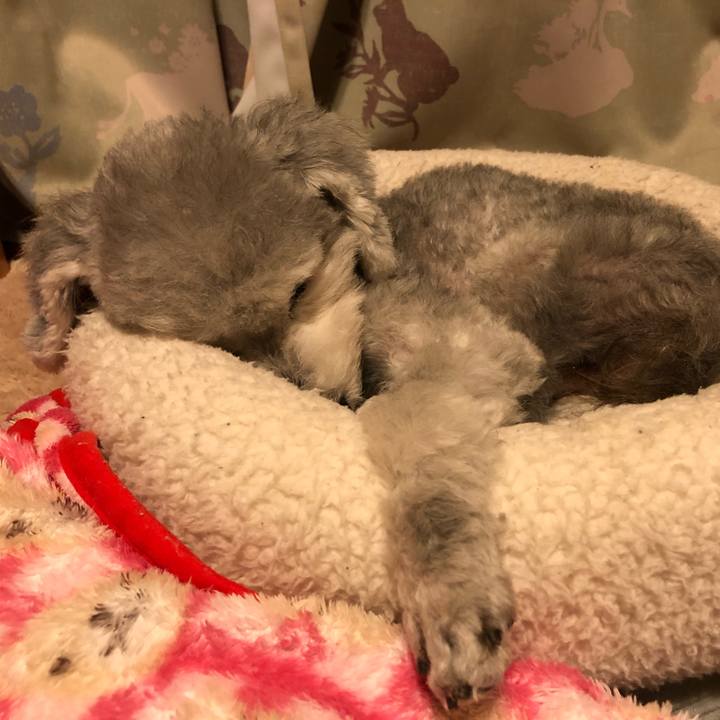 6af61ba4 2891 40fb 81af e8306e7eee79 1604277212441