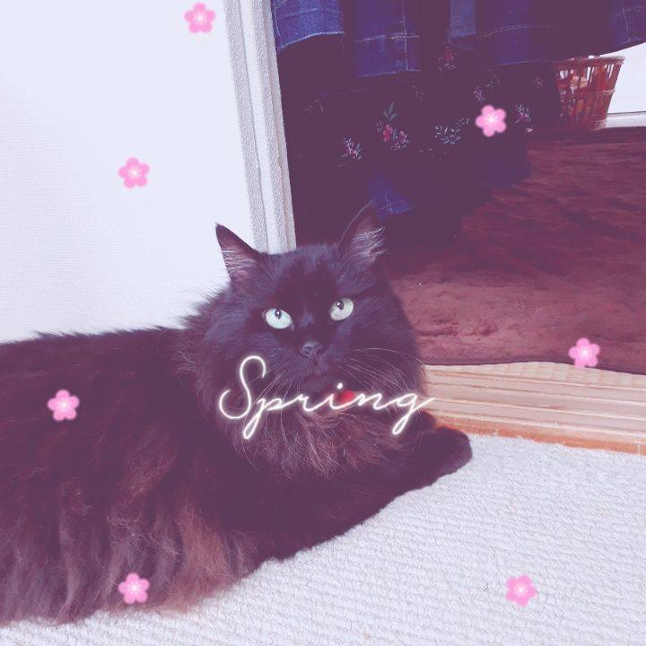 6af64630 d938 4650 be3b 277a65340e73 1530432510135