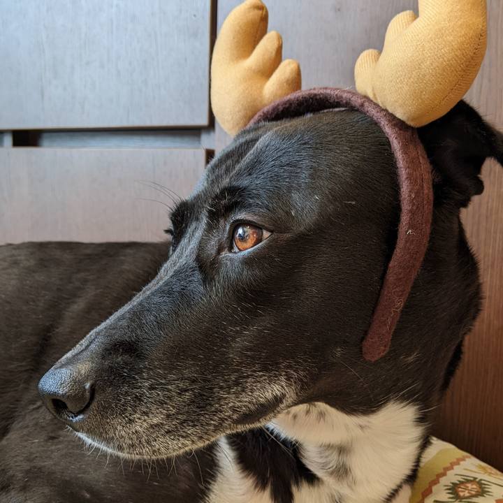 6af65aae ed32 437d acff b7f1134ce376 1671496561557