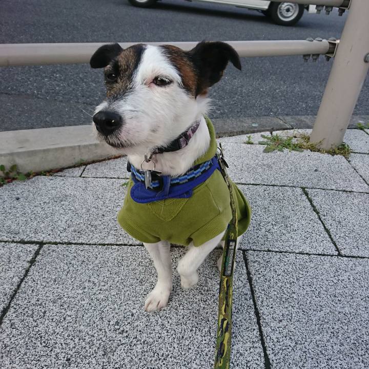 6af687d9 3ea2 44b6 bc22 ff117db0cee5 1521327721782