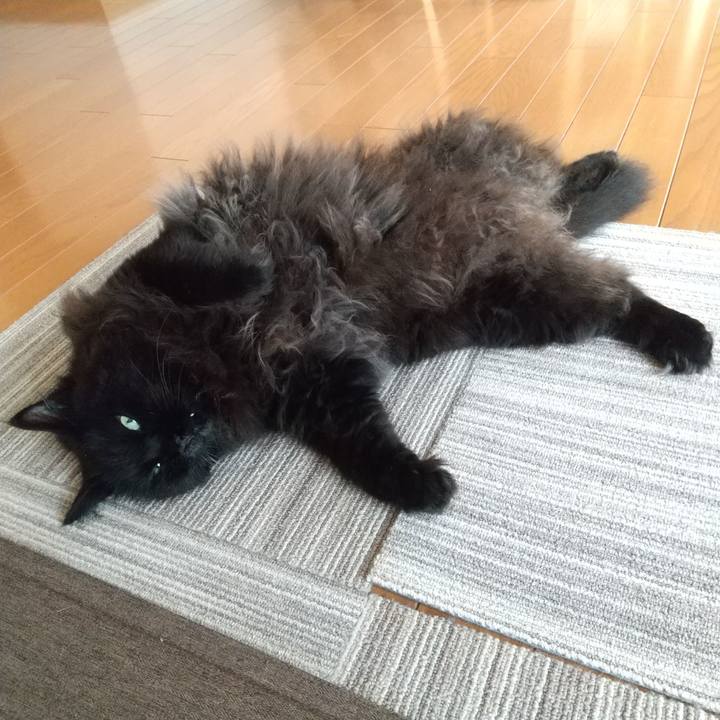 6af6aed0 bc8c 46e3 a965 3340eac3274d 1627251681577