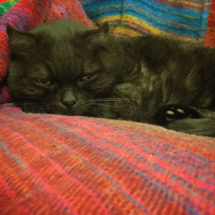 6af6b53b 8c00 4999 91be 39a5e781b87b 1508689977129