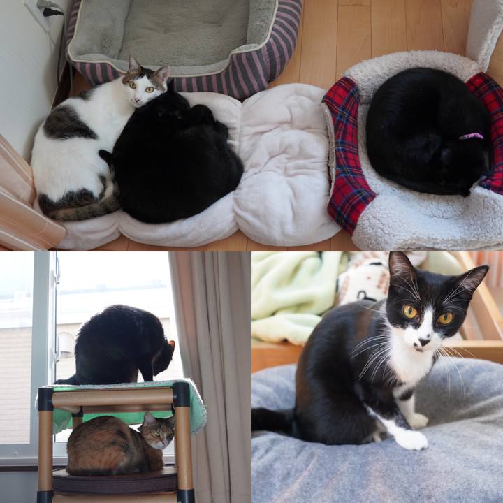 6af6dccc c1cd 4cb9 b2cc 41d4d33c79e4 1604492385193