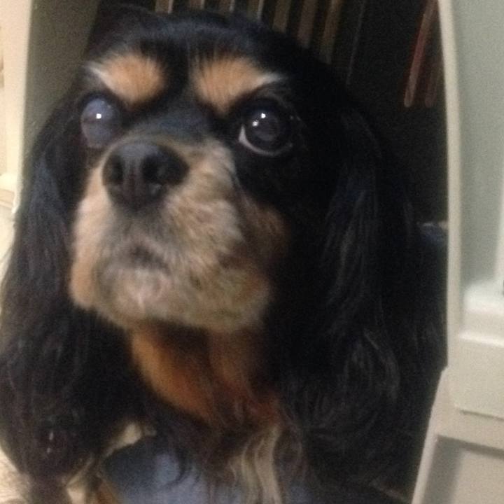 6af6e564 7bd4 4021 8d38 7970cd8bbd70 1521166531998