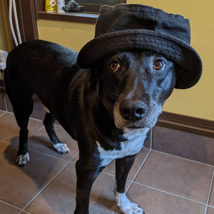 6af6f986 6b49 4b3f 8135 4acf11dc74da 1690763474683