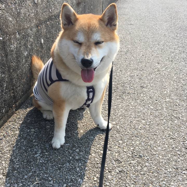 6af710b7 34a0 461e 8689 d1350b55c6dc 1554626370411