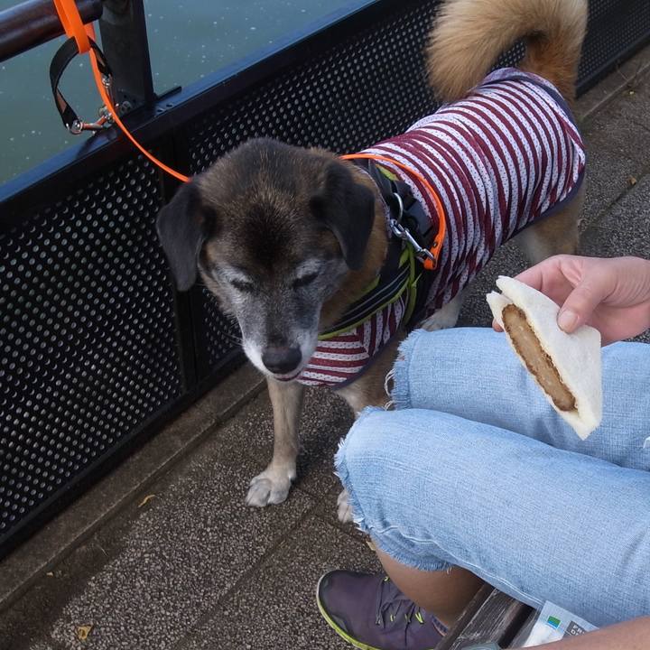 6af73c4a f295 4047 8ddb c6d7342af0fa 1589504187457