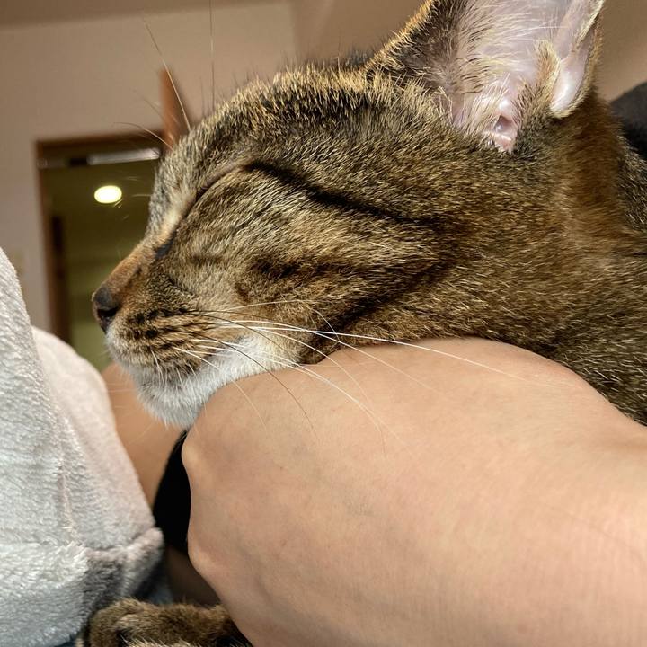 6af7936c 5742 4798 87ce f9c6cc275543 1623908764359