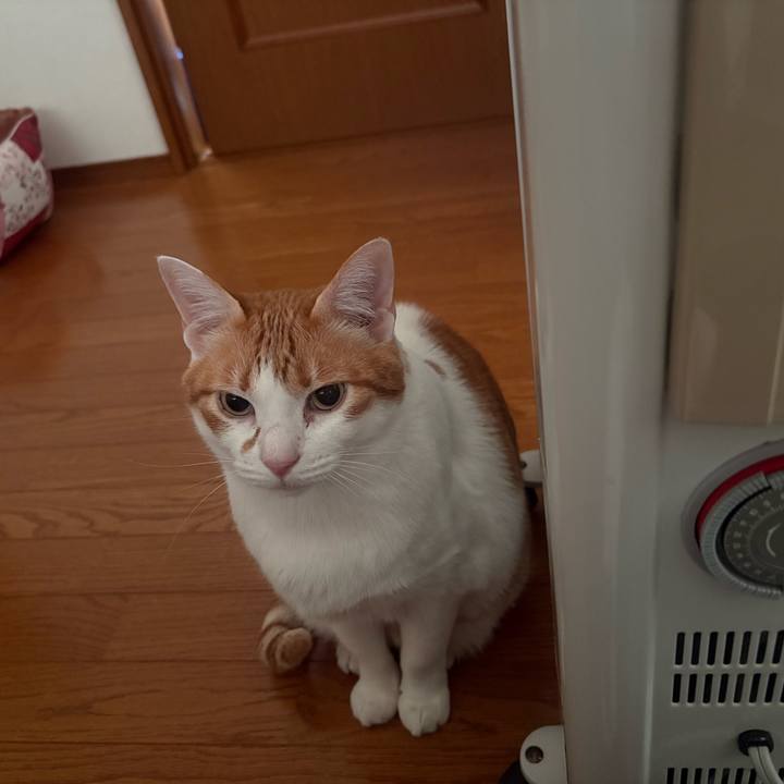 6af7af77 7432 4973 a659 6fe521ea51c9 1774041752791