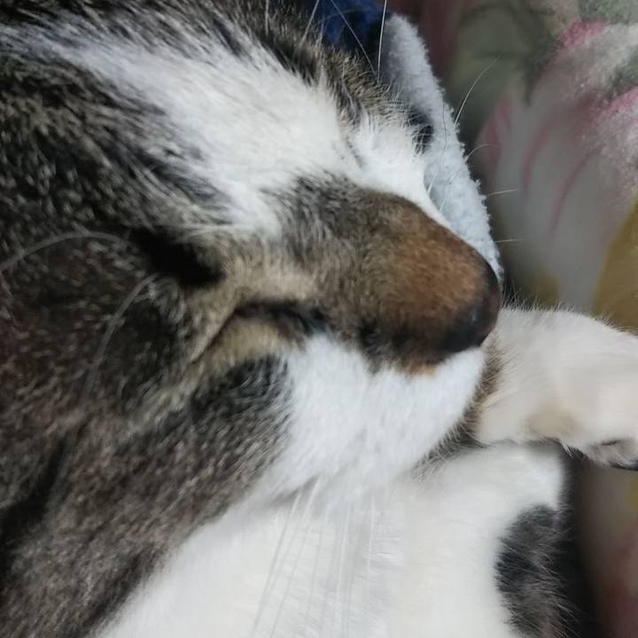 6af7b231 adb9 4b4f a0c5 1b7c9e6f1545 1616418971013