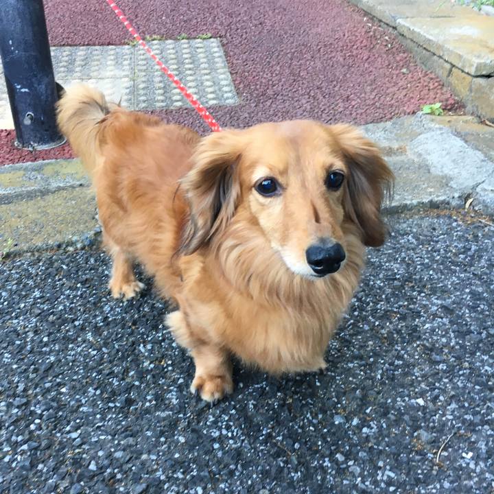 6af7c58d cab9 4484 9ca0 9aa2ecfc0c8b 1527082047647