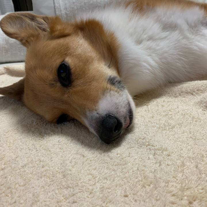 6af80b48 114c 44c9 8ea7 6012093602ef 1590977122347