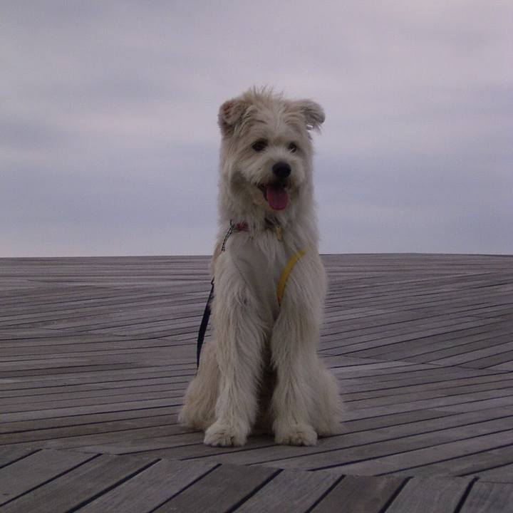 6af81589 b8d3 45ba add1 32e8768a7757 1535873060625