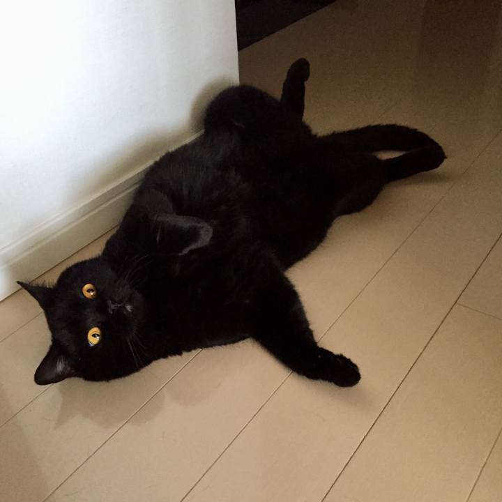 6af82a51 0088 4c30 af86 e7ac7299123a 1591835010579