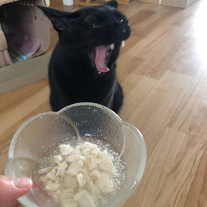 6af836ab 0312 4a5b 9e4b e975b4654c76 1599369512172