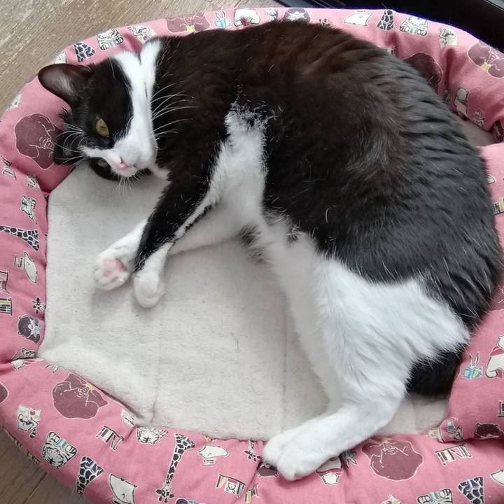 6af85ed4 4dd8 4d15 9612 aa7c0d12c89d 1566569312040