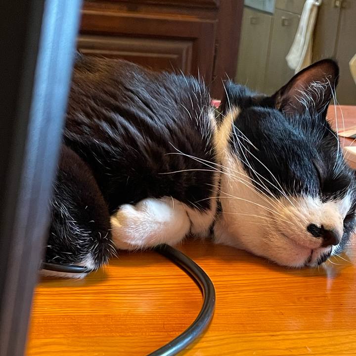 6af87b8e 0411 46fa a4b4 85b66bb47e6a 1742699951744