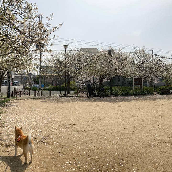 6af8aec8 83f7 4157 9d46 8a115f8bedbf 1617020995921