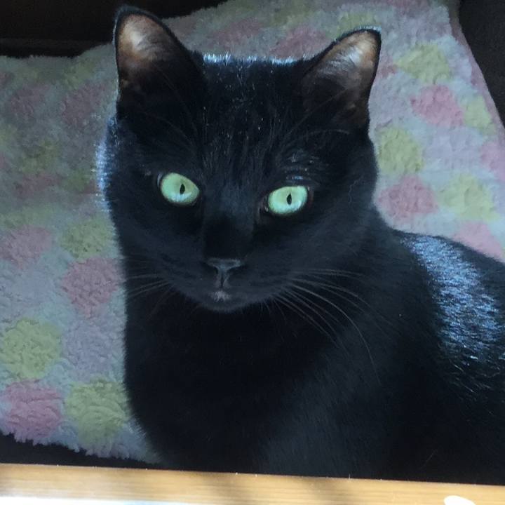 6af8afe9 77b2 489b 9bae 4f2fcb7d966e 1603962212488