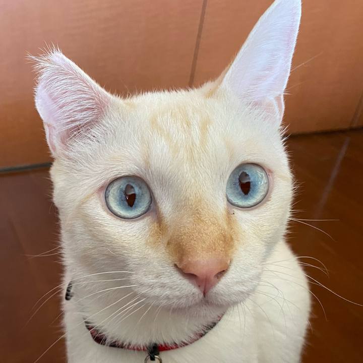 6af8d2a6 3be6 4f50 ad2c bc611dd63fa9 1600664110951