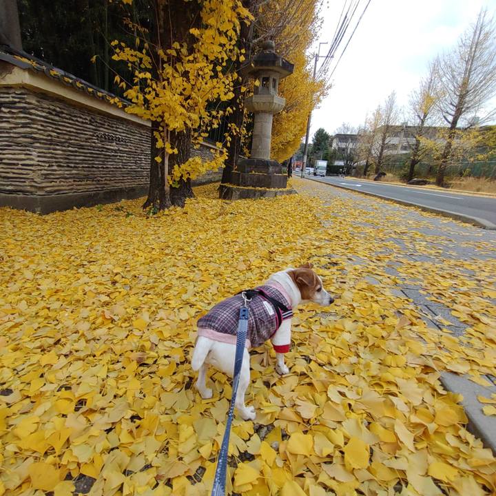 6af8eef0 8ce9 4176 ad24 c5fa8a4bf3e8 1764755988452