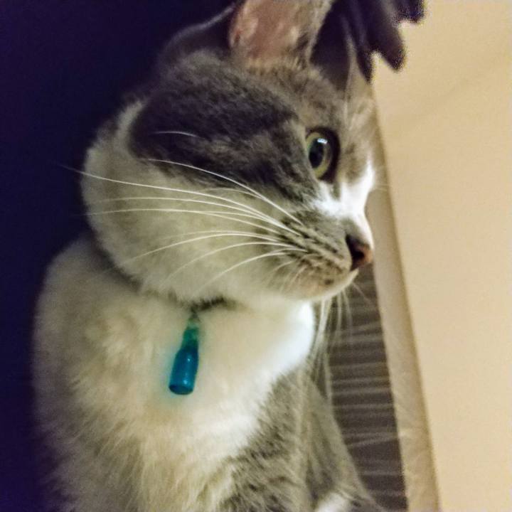 6af8f0d5 b156 44cf a698 80f0708d7abd 1629202488224