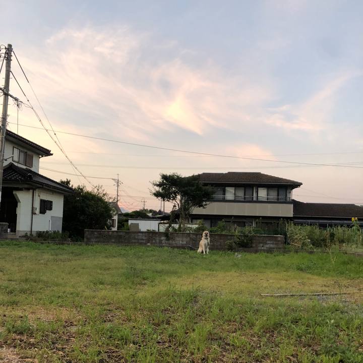 6af90e1c ab1a 4613 8008 a49d2261c12c 1597751108713