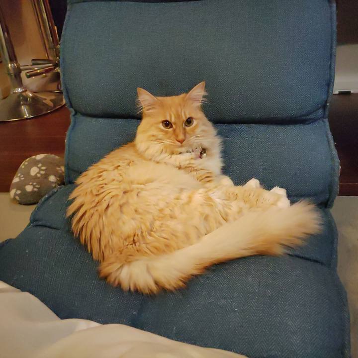 6af921ce b0ce 4482 9038 3476d557bdfd 1671620626911