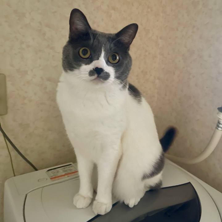 6af9397e ff05 4d9d a091 7e31f9bedb21 1732331329905