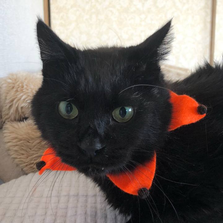 6af951f8 f5be 43a0 9a9e 920a42430664 1635036058220