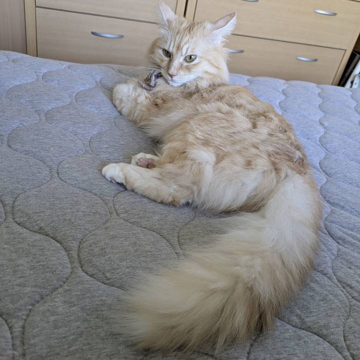 6af98da5 71bc 4b8a 9a56 947a249cd1a2 1758760864859