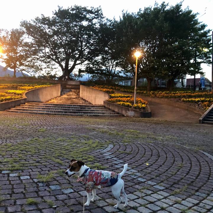 6af9a66d 1c1c 4173 a443 5ff9e8d768c8 1599047392374