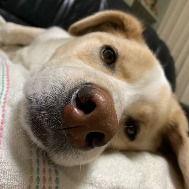 6af9b09b 224b 4124 b8e3 98059f218d25 1552741393353