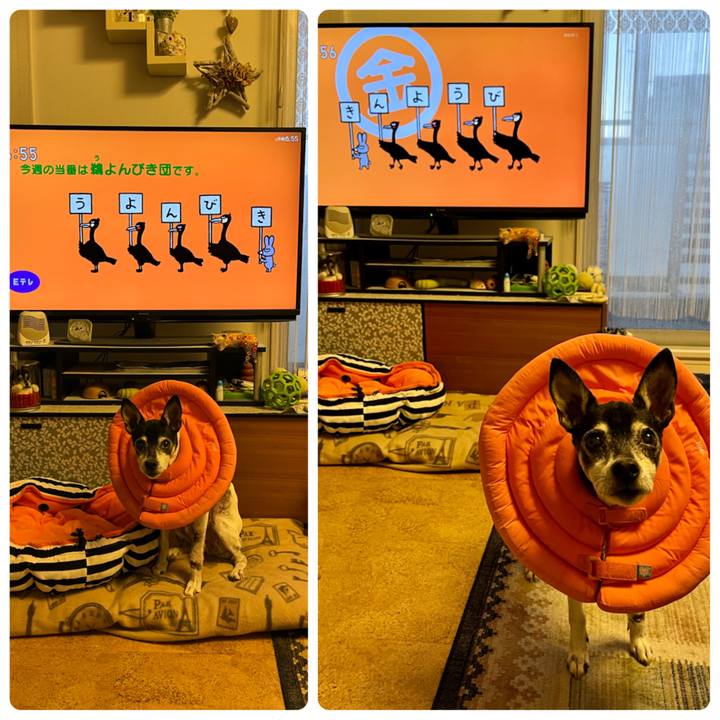 6af9d57b 0021 48f3 85bd 55916d4010ac 1642112626934