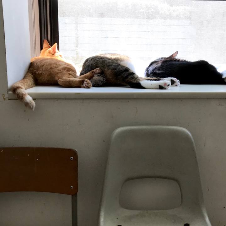 6af9e355 3e3f 46cb 8d88 898b5f98a01f 1538105081349