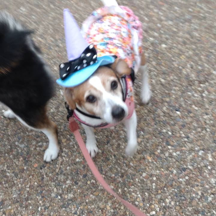 6afa1097 9875 428a 9f61 38fd5dbdf844 1761879171492