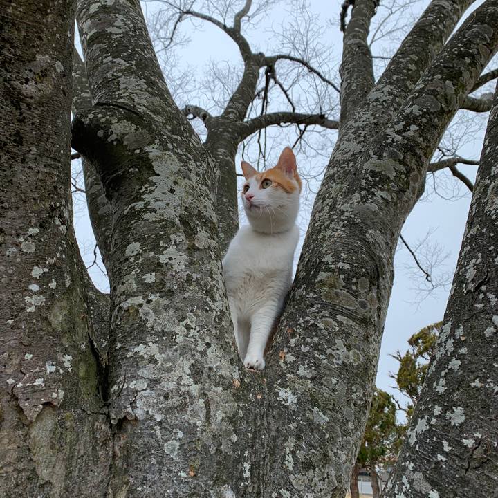 6afa4426 6ee8 45fc b7db 919aa35d9858 1583629185641