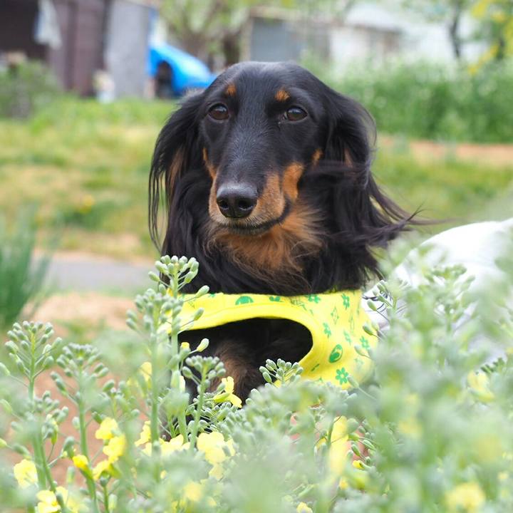 6afa5f0b c24b 42f9 a5fb bc64244a221c 1523933075071