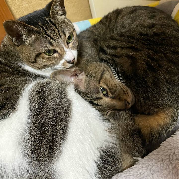 6afa7e76 de7d 431f b284 b286ad7e9fab 1613092382830