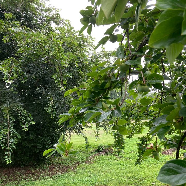 6afa8b42 e6f0 4e68 b00f 77aad86fcd02 1721104171653