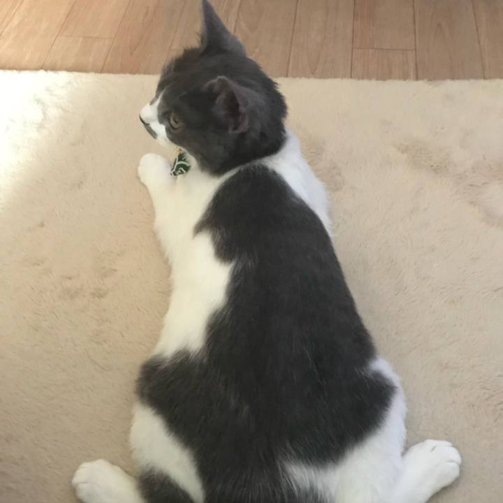 6afab168 4989 46a2 ab77 a21e1b1175e8 1707724471820