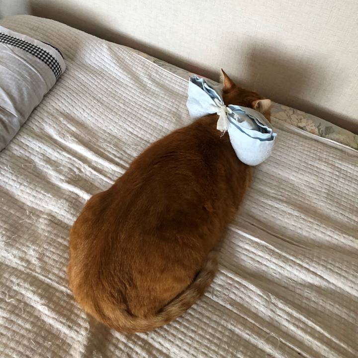 6afafcb9 3f77 49d8 aff1 823a552117a0 1600550500516