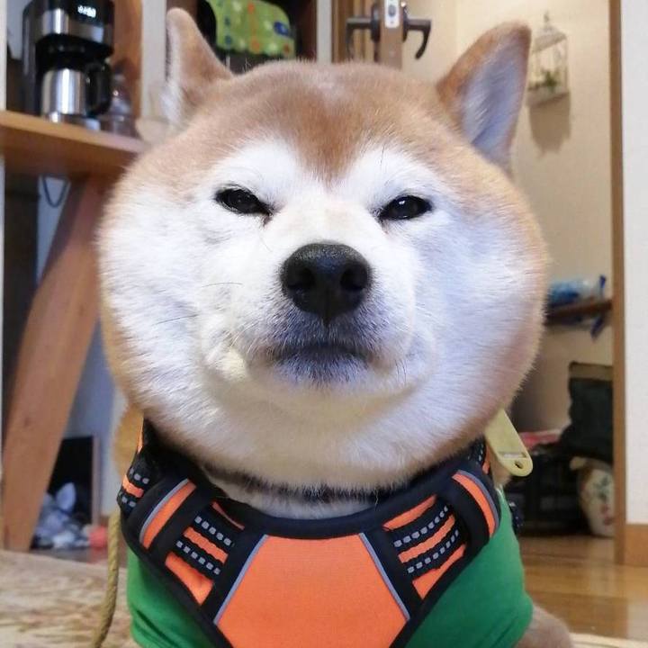 6afafe49 1b83 4f9a 8960 15008c19598d 1584845688275