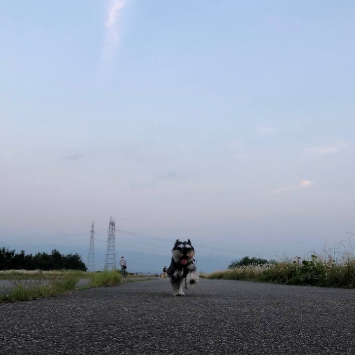 6afb1010 cac1 4bcc b5ba 1b8b39f10d10 1623334238883