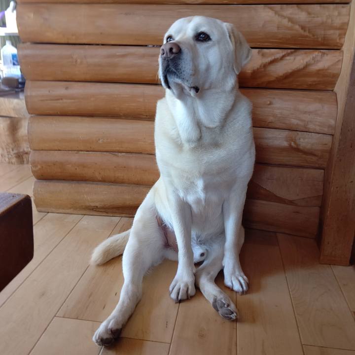 6afb24bf 243c 49a5 9aa2 a7986a0adbe1 1682408800122