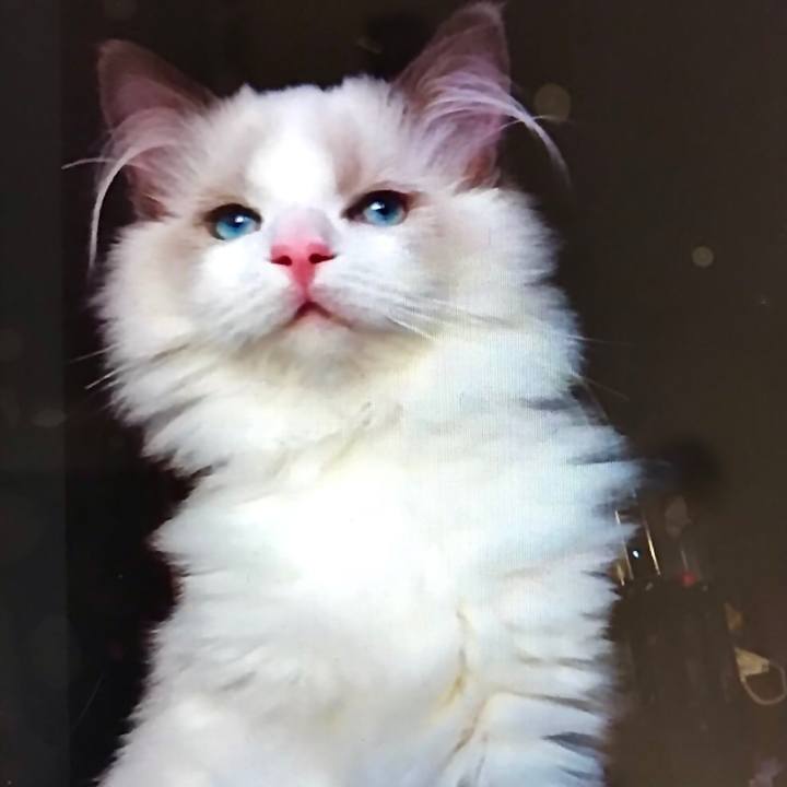 6afb4799 6502 4b51 9d36 68ae7f26945c 1612534203649